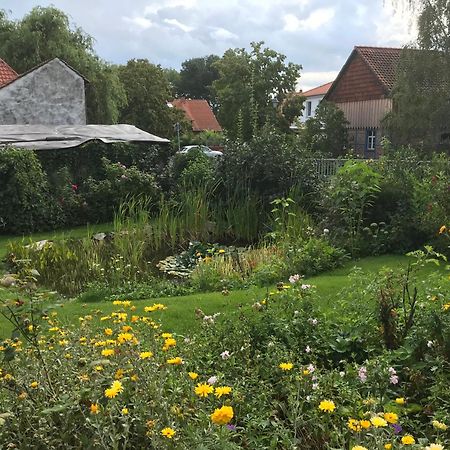 Schoene Gemuetliche Ferienwohnung Mit Kamin II Im Harz Darlingerode 외부 사진
