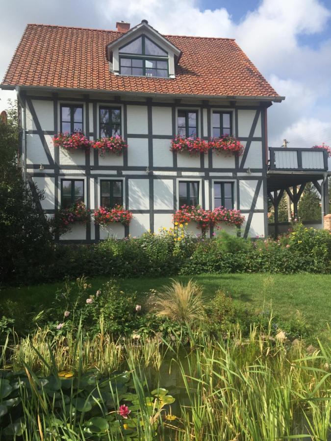Schoene Gemuetliche Ferienwohnung Mit Kamin II Im Harz Darlingerode 외부 사진