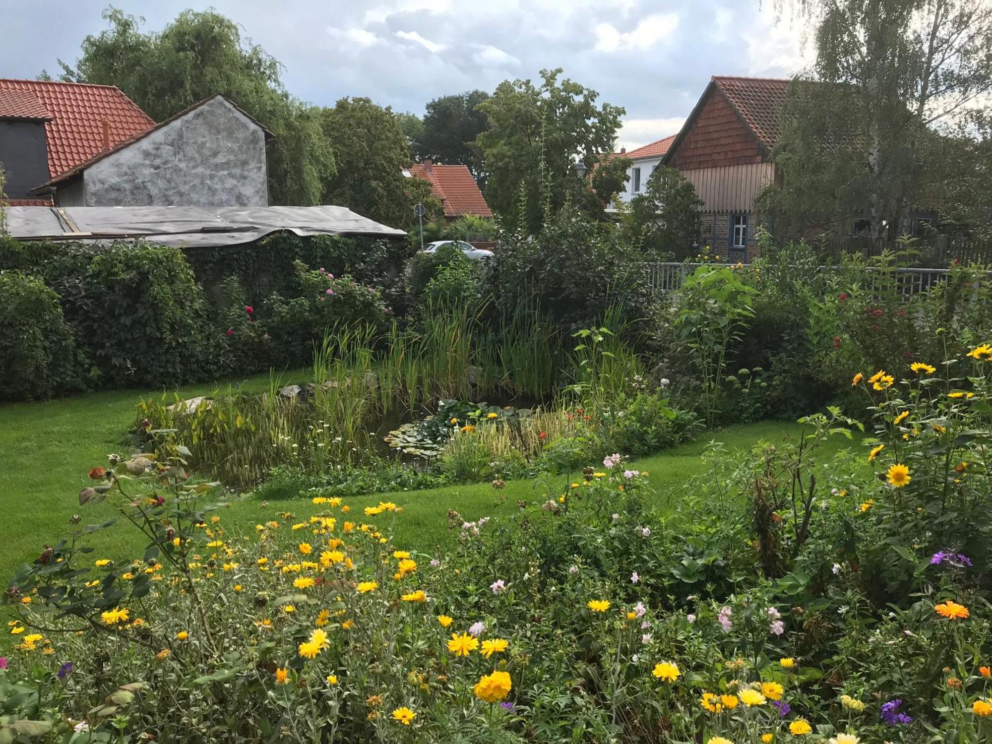 Schoene Gemuetliche Ferienwohnung Mit Kamin II Im Harz Darlingerode 외부 사진