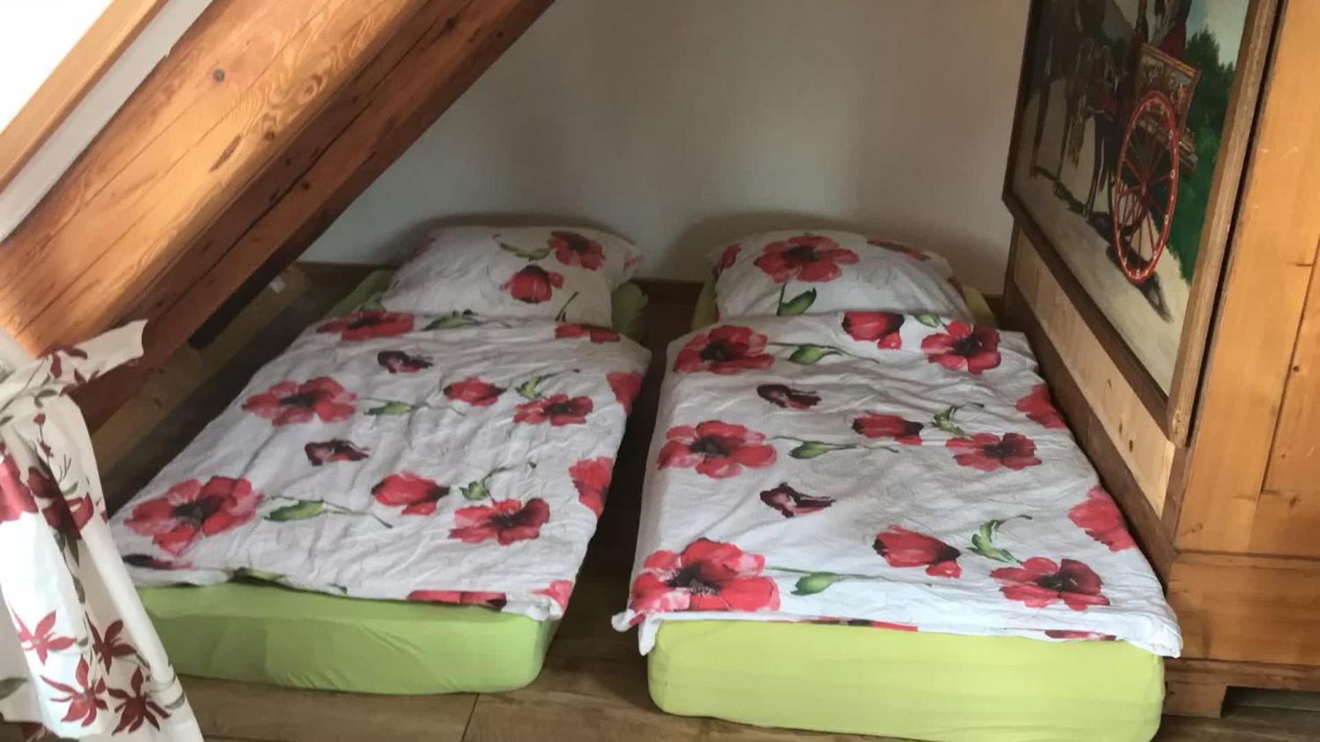 Schoene Gemuetliche Ferienwohnung Mit Kamin II Im Harz Darlingerode 외부 사진